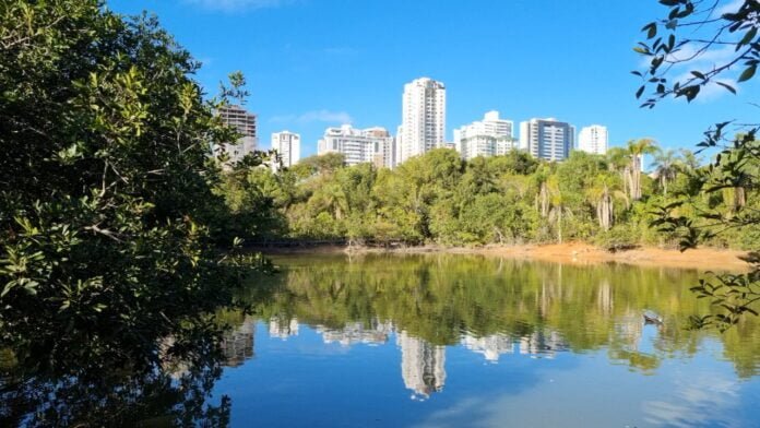 5.5.-Parque-Aguas-Claras.-Foto-Divulgacao-Brasilia-Ambiental-2.jpg