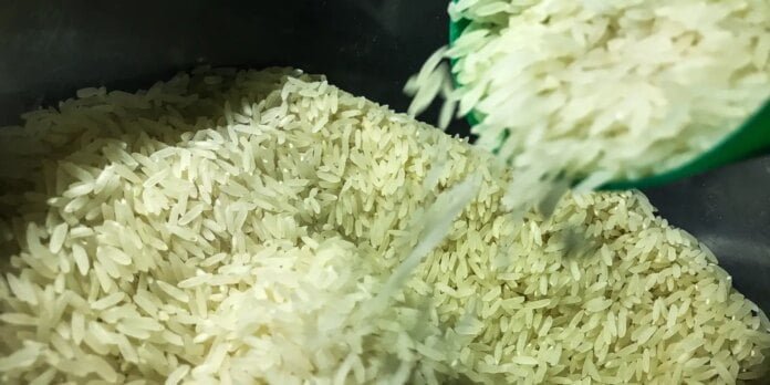 1716317172_arroz_1009201524.jpg