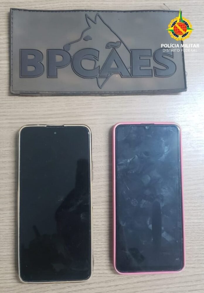 bpcaes-712x1024.jpg