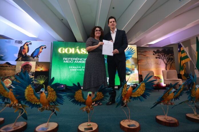 Goias-Resiliente-a.jpeg