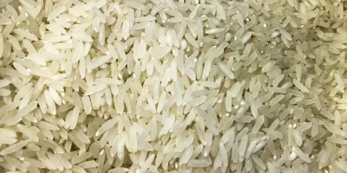 arroz_1009201525.jpg