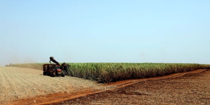 plantacao_de_soja_soja_agricultura1103209901.jpg