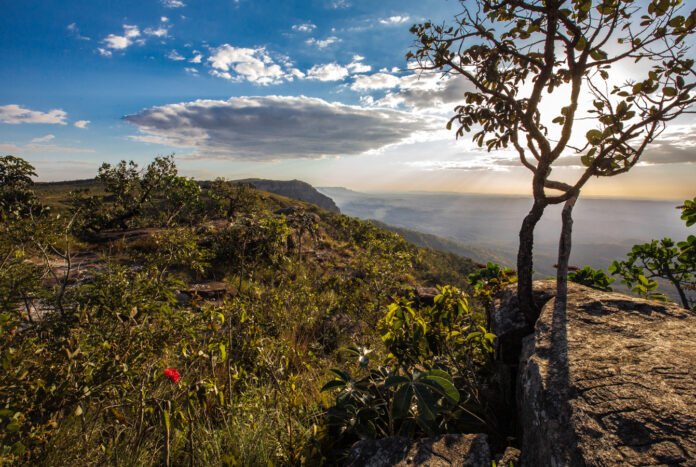 Parque_Estadual_Serra_Dourada_a-67e.jpg