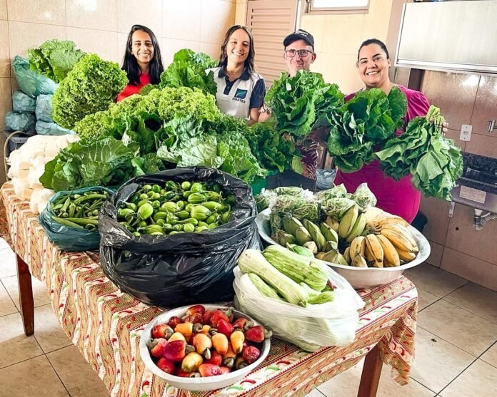 Programa-de-Aquisicao-de-Alimentos_Seapa.jpeg