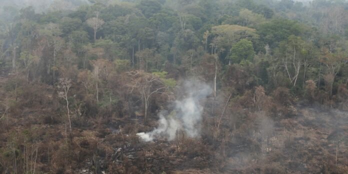 1726793012_2024-03-03t010536z_1935154667_rc2rd6adelkv_rtrmadp_3_brazil-fires.jpg