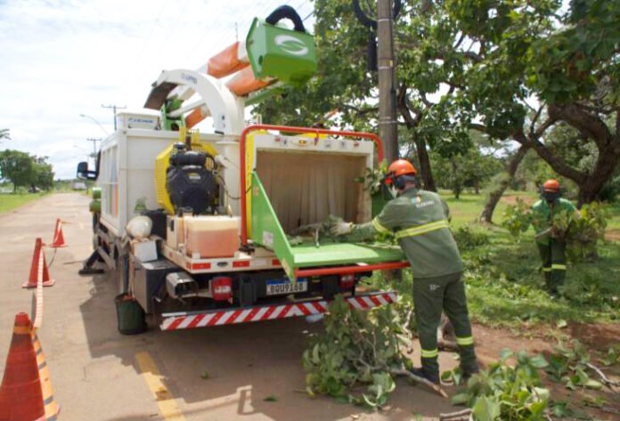Podas-de-arvore-para-protecao-de-fios-eletricos.-Foto-Neoenergia-6.jpeg