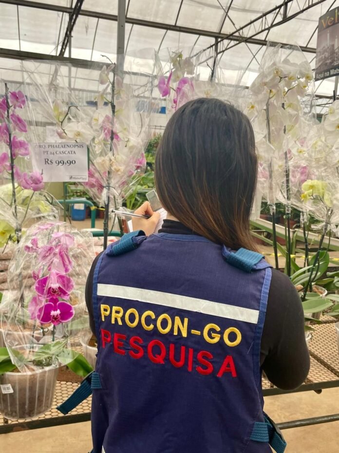 Procon_Pesquisa-Finados.jpeg