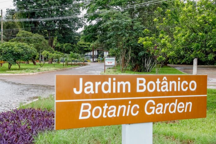 Jardim-Botanico-Foto-Lucio-Bernardo-Jr-2-1.jpg
