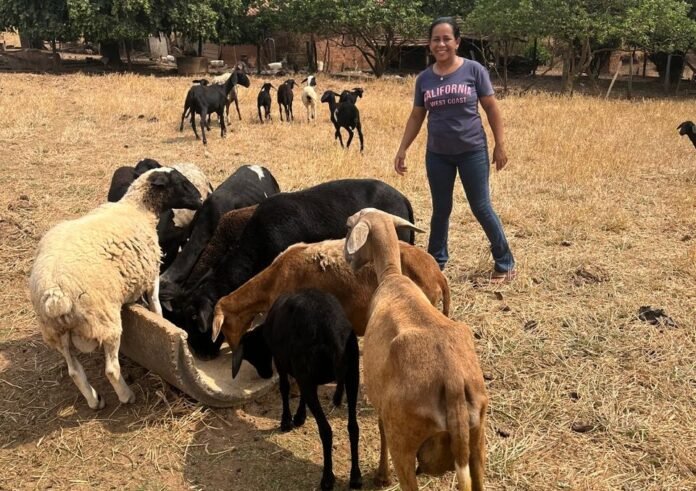 SEAPA-E-EEMATER-FOMENTO-RURAL-REUCURSOS-AGRICULTURA-FAMILIAR.jpeg