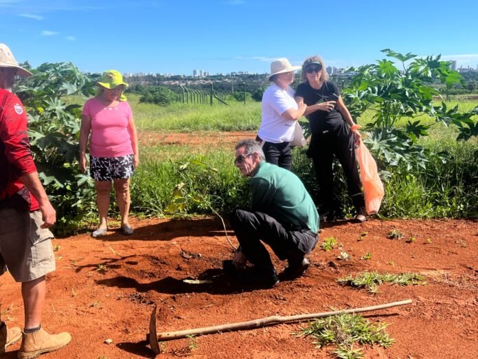 18.1.-Plantio-no-Parque-Ecologico-do-Riacho-Fundo.-Foto-Divulgacao-Brasilia-Ambiental2.jpeg