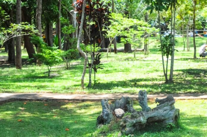 28.04.2017-Parque-Saburo-Onoyama.-Foto-Paulo-H.-Carvalho-Agencia-Brasilia-1200x797.jpeg
