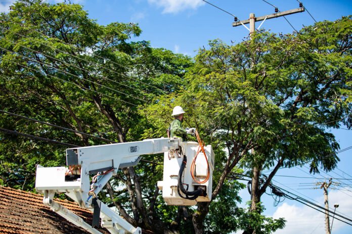 Distribuicao.-Foto-Neoenergia-3.jpg