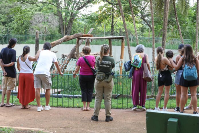 Foto-Matheus-H-Souza.jpg