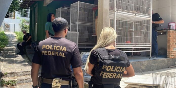 operacao_pf_animais_011223.jpg