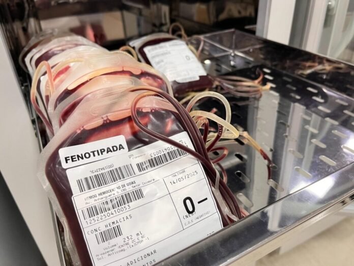 Doacao-de-sangue-na-Rede-Hemo_Alex-Maia.jpeg