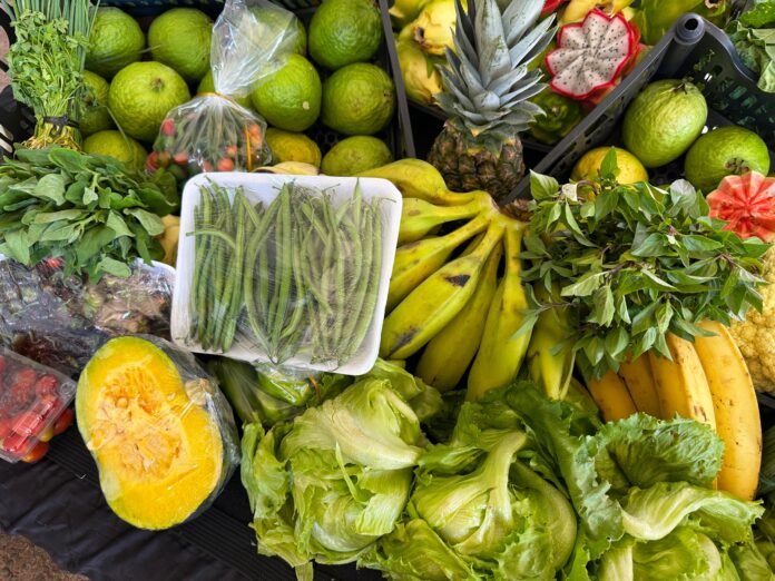 SEAPA_GOVERNO_BENEFICIA_MAIS_DE_DOIS_MIL_PRODUTORES_DA_AGRICULTURA_FAMILIAR_POR_GIOVANNA_CURADO.jpeg