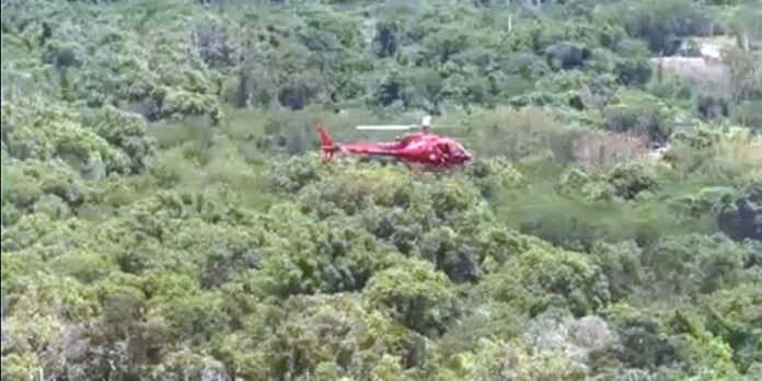 helic.jpg