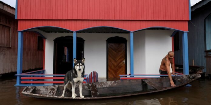 2021-05-17t181039z_1231131674_rc23fn9yuhgc_rtrmadp_3_brazil-amazon-floods.jpg
