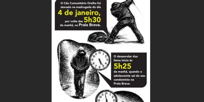 infografico_caso_cachorro_orelha.jpg
