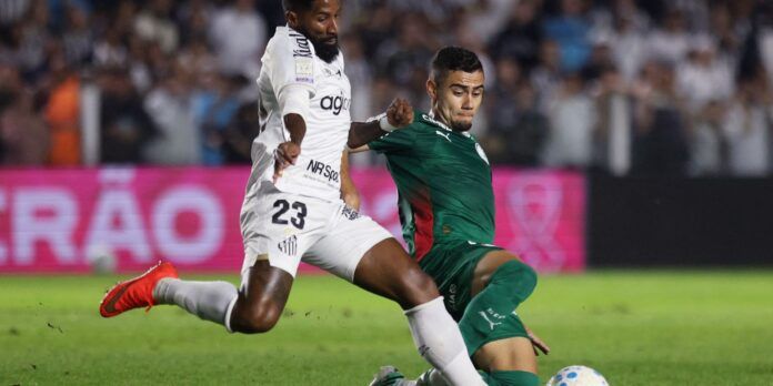 palmeiras_brasileirao.jpg